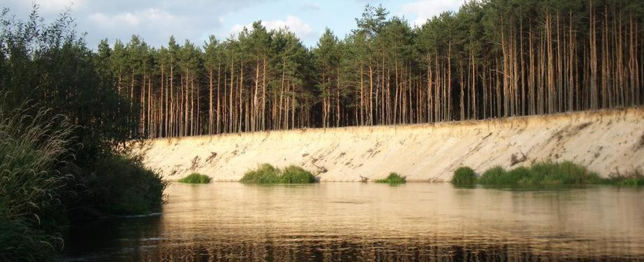 Domki Nad Pilica Krzetow エクステリア 写真