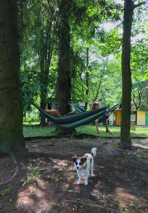 Domki Nad Pilica Krzetow エクステリア 写真