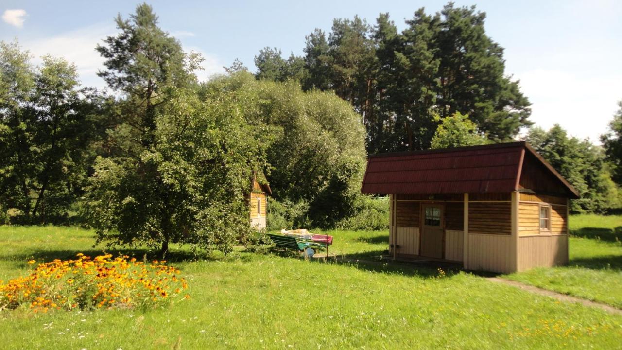 Domki Nad Pilica Krzetow エクステリア 写真