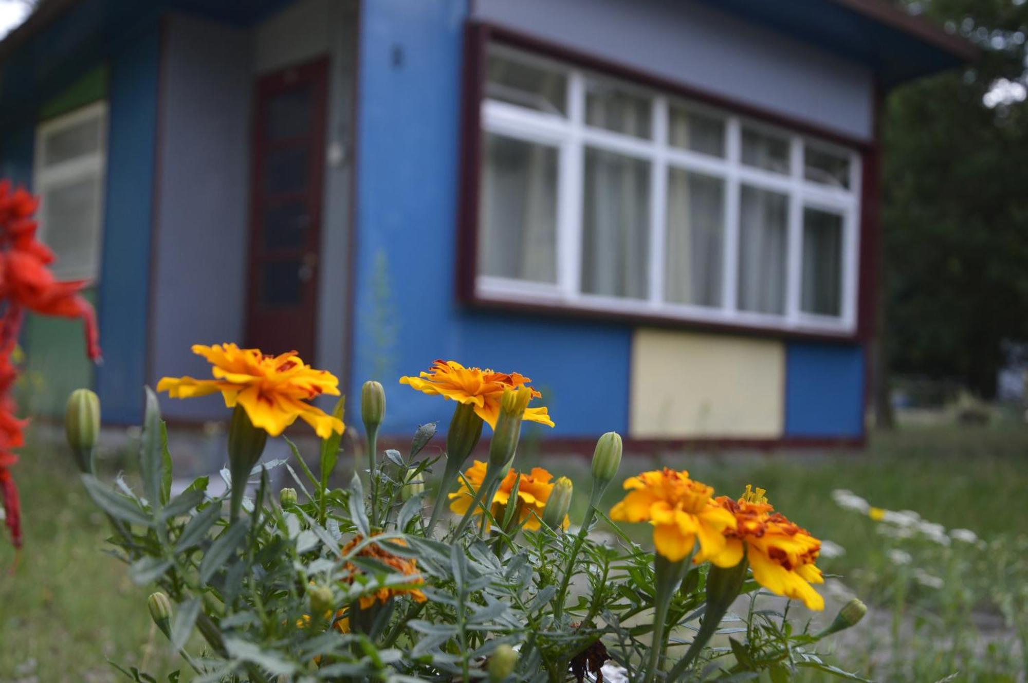 Domki Nad Pilica Krzetow 部屋 写真
